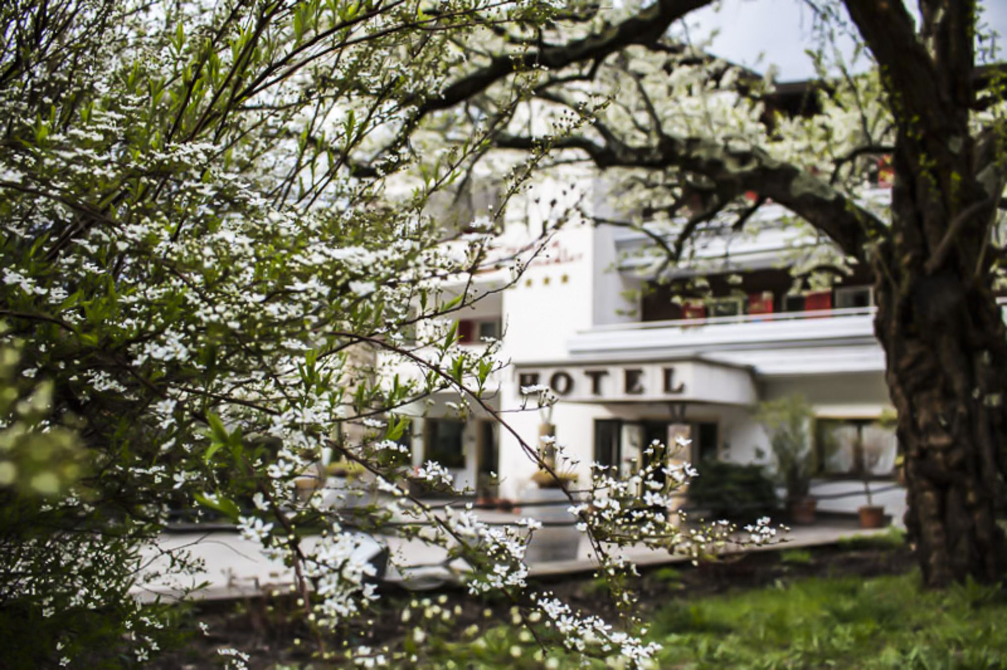 Prinz Rudolf Smart Hotel Merano Esterno foto